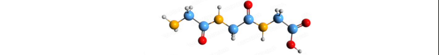 Amino Acids, Peptide Synthesis