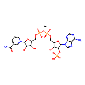 beta-Nicotinamide adenine dinucleotide phosphate sodium salt (NADP sodium salt),1184-16-3