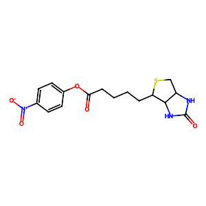 BNP D-Biotin 4-nitrophenyl ester,33755-53-2