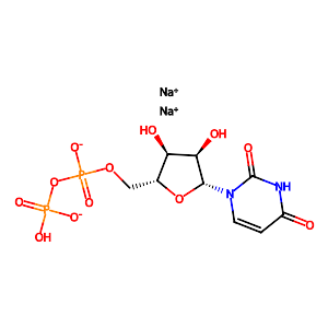 Uridine 5'-diphosphate disodium salt,27821-45-0