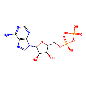 Adenosine 5'-diphosphate,58-64-0