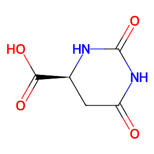 L-Dihydroorotic acid,5988-19-2