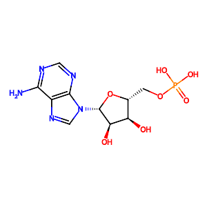 Adenosine 5'-monophosphate,61-19-8
