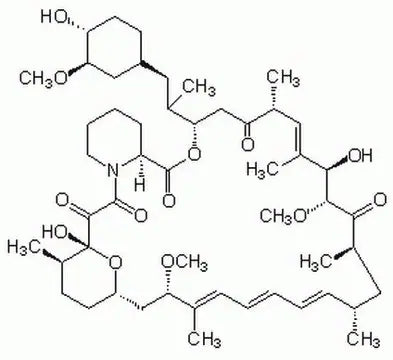 Rapamycin
