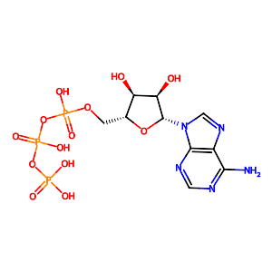 Adenosine triphosphate,56-65-5