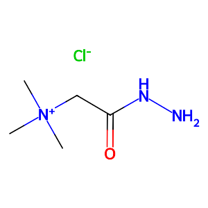 Girard's reagent T,123-46-6
