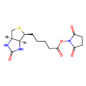 (+)-Biotin N-hydroxysuccinimide ester,35013-72-0