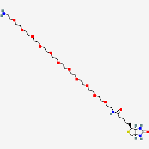 Biotin-PEG11-Amine