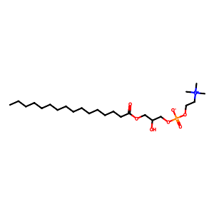 1-Palmitoyl-Sn-glycero-3-phosphocholine,17364-16-8