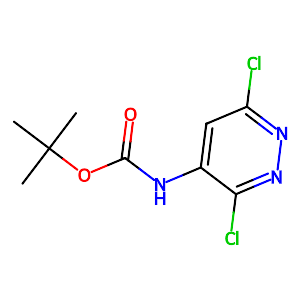 4-(Boc-amino)-3,6-dichloropyridazine,887310-61-4