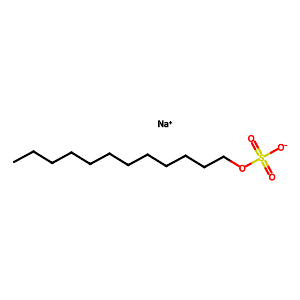 Sodium Dodecyl Sulfate [for Electrophoresis],151-21-3