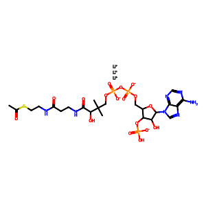 Acetyl coenzyme A lithium salt,32140-51-5
