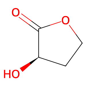 (R) -(+)- Alpha-Hydroxy-Gamma-Butyrolactone,56881-90-4