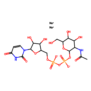 UDP-N-acetyl-D-Glucosamine sodium salt,91183-98-1