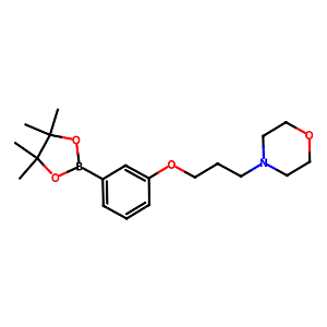 4-(3-(3-(4,4,5,5-Tetramethyl-1,3,2-dioxaborolan-2-yl)phenoxy)propyl)morpholine,1704065-77-9