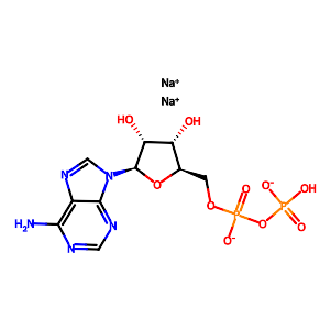 Adenosine-5'-diphosphate disodium salt,16178-48-6
