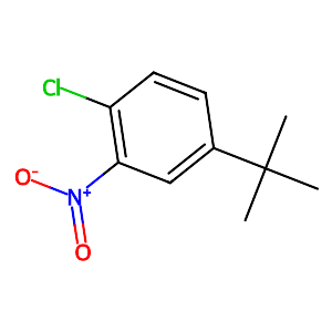 1-tert-Butyl-3-nitro-4-chlorobenzene,58574-05-3