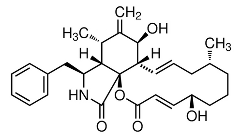 Cytochalasin B
