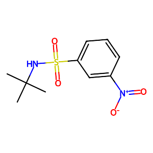 N-t-Butyl 3-nitrobenzenesulfonamide,424818-25-7