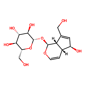 Aucubin,479-98-1