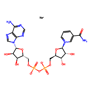beta-Nicotinamide adenine dinucleotide sodium,20111-18-6