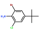 2-Bromo-4-(tert-butyl)-6-chloroaniline, 95%