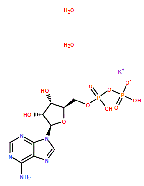 Adenosine 5'-diphosphate monopotassium salt dihydrate