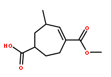 6-Methyl-cyclohept-4-ene-1,4-dicarboxylic acid 4-methyl ester